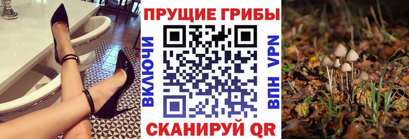 Псилоцибиновые грибы прущие грибы  Купить  Нурлат 